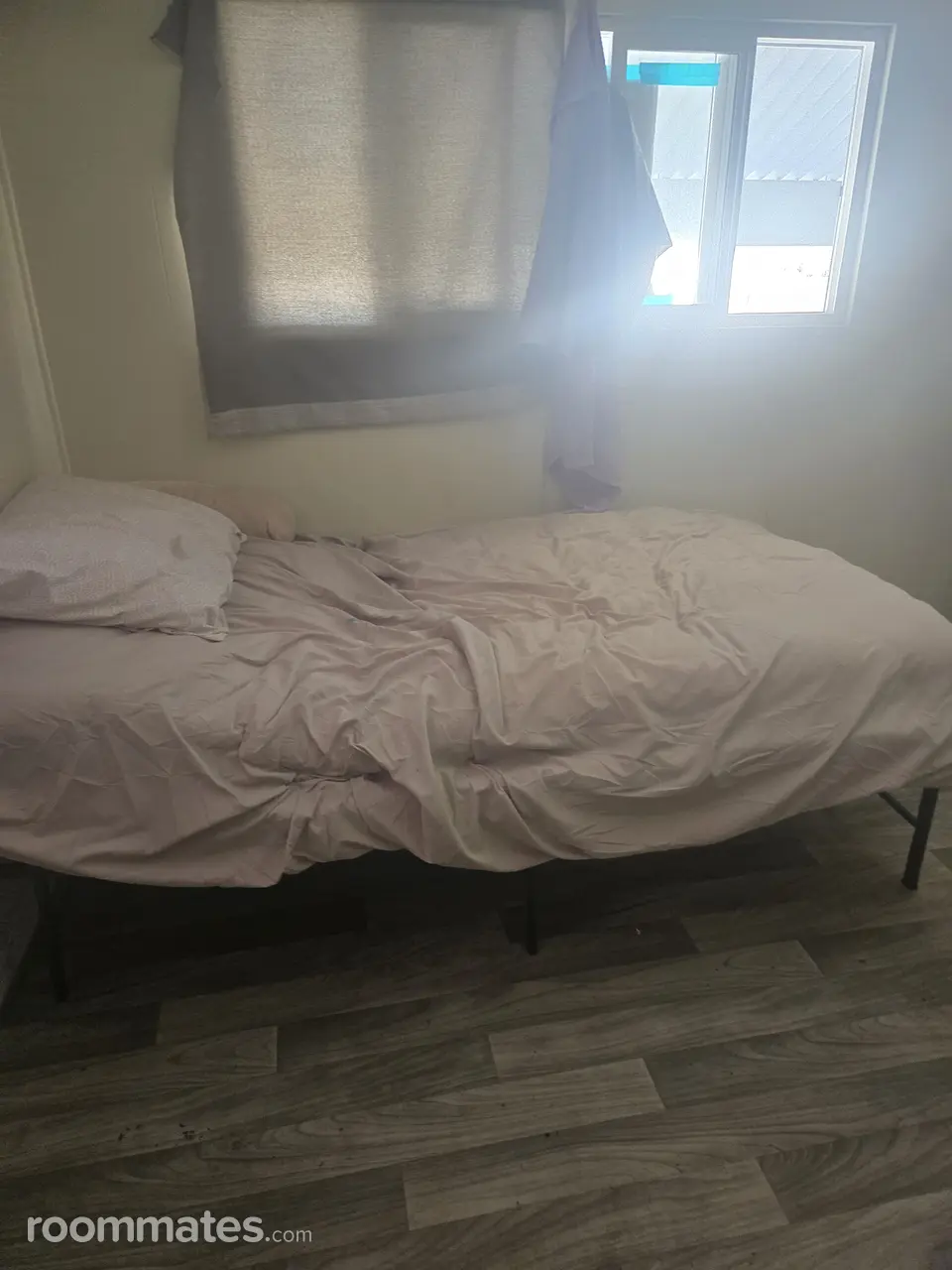 Profile photo 2 of 4