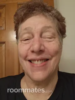 Roommate looking Chatham, IL, $900