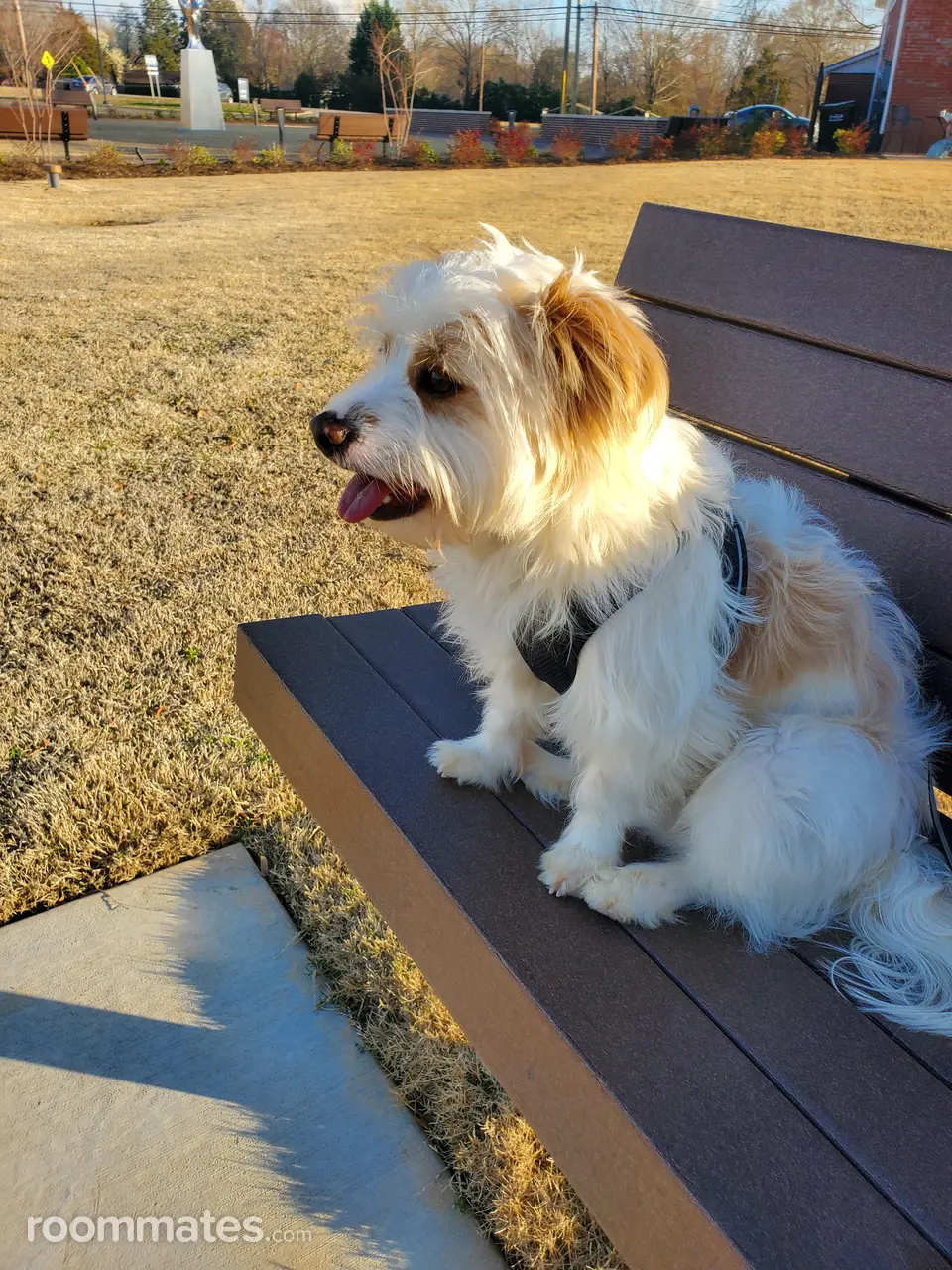 Profile photo 2 of 2