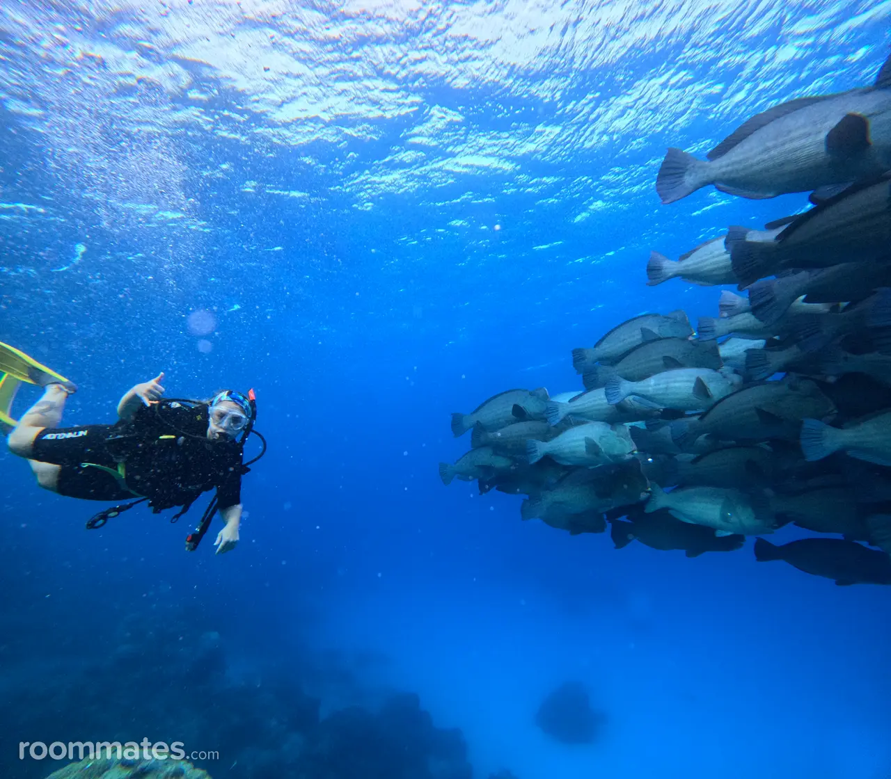 Profile photo 8 of 8