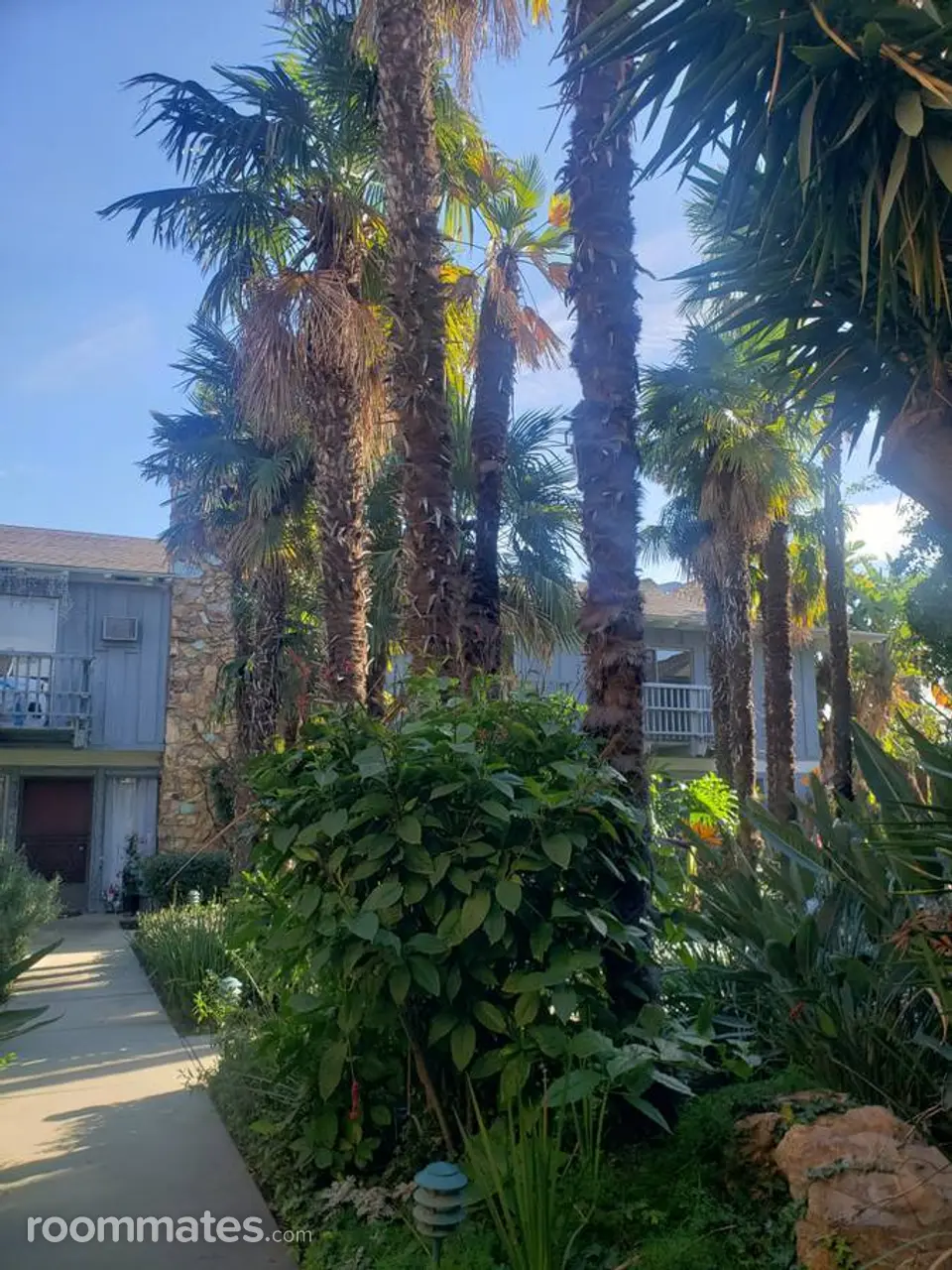 Profile photo 2 of 12