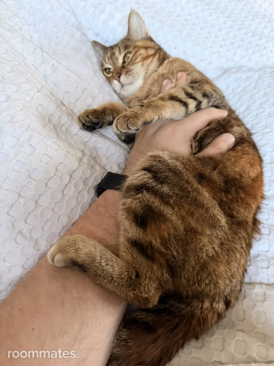 Profile photo 12 of 17