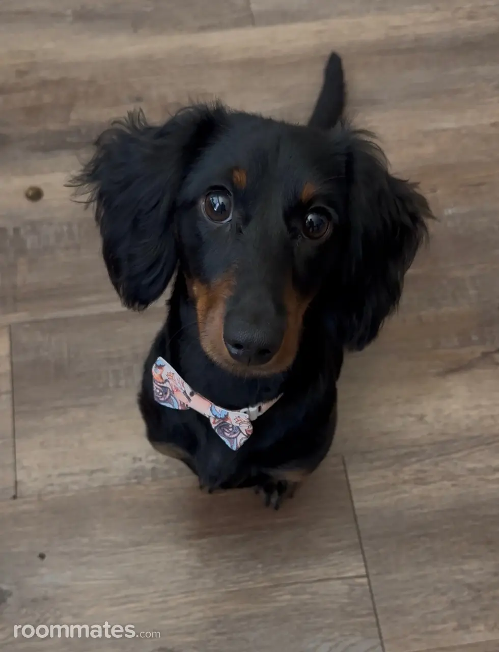 Profile photo 2 of 3