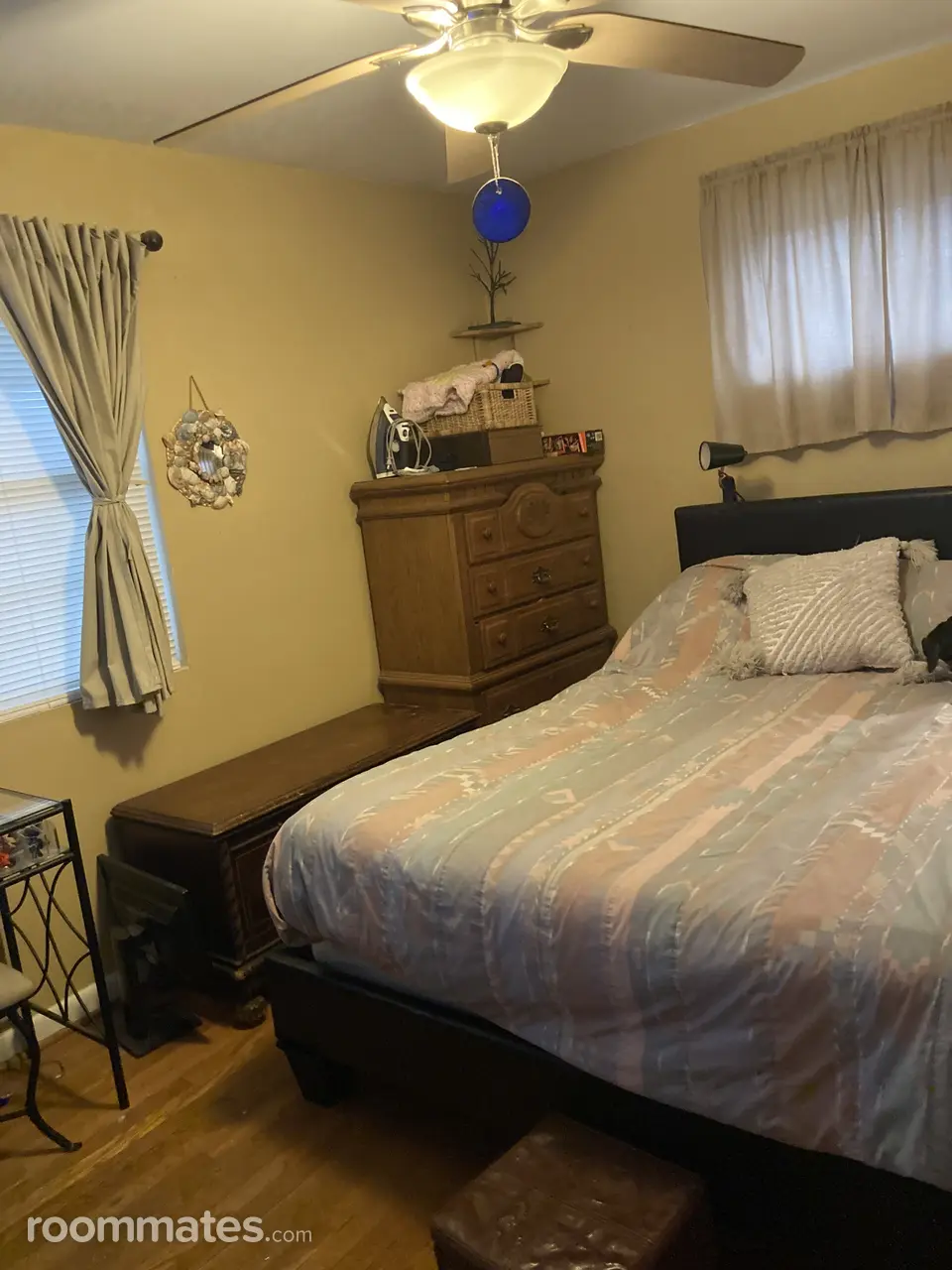 Profile photo 1 of 11