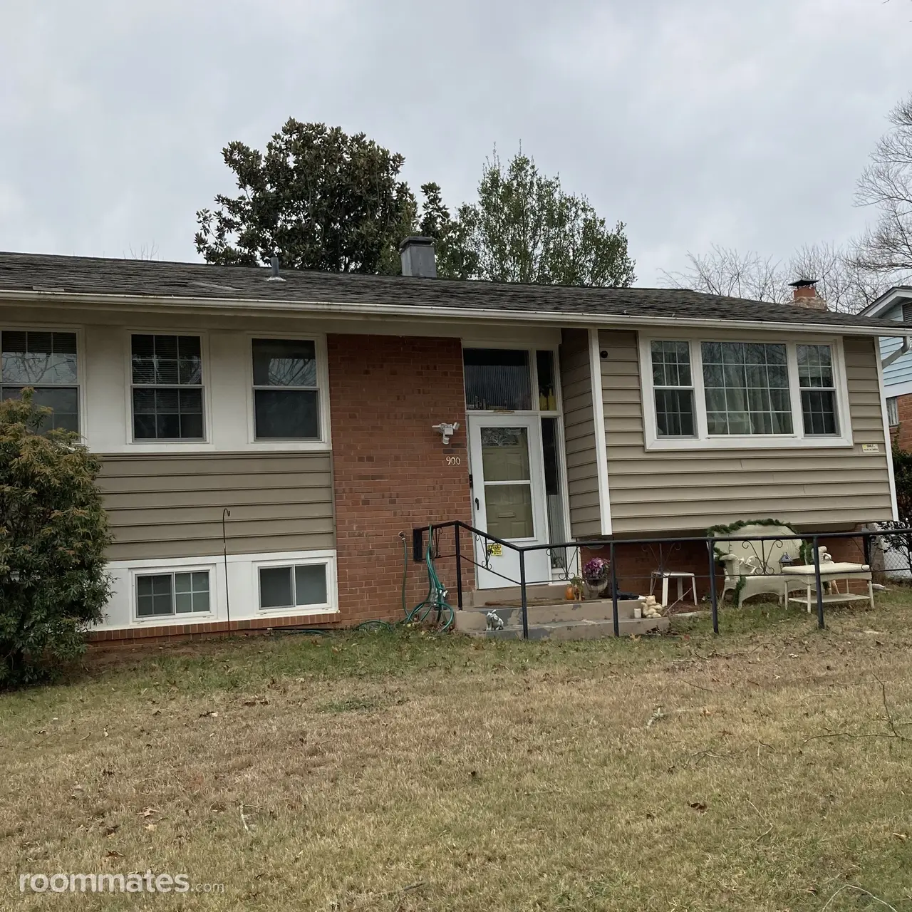 Profile photo 11 of 11