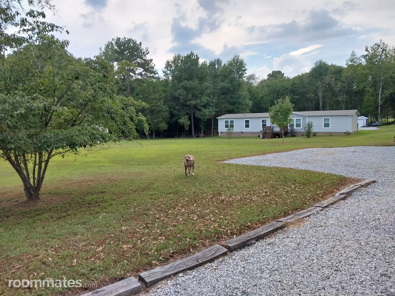 Profile photo 6 of 7