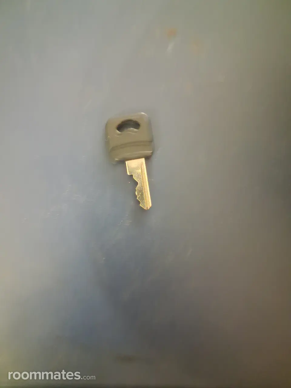 Profile photo 7 of 7