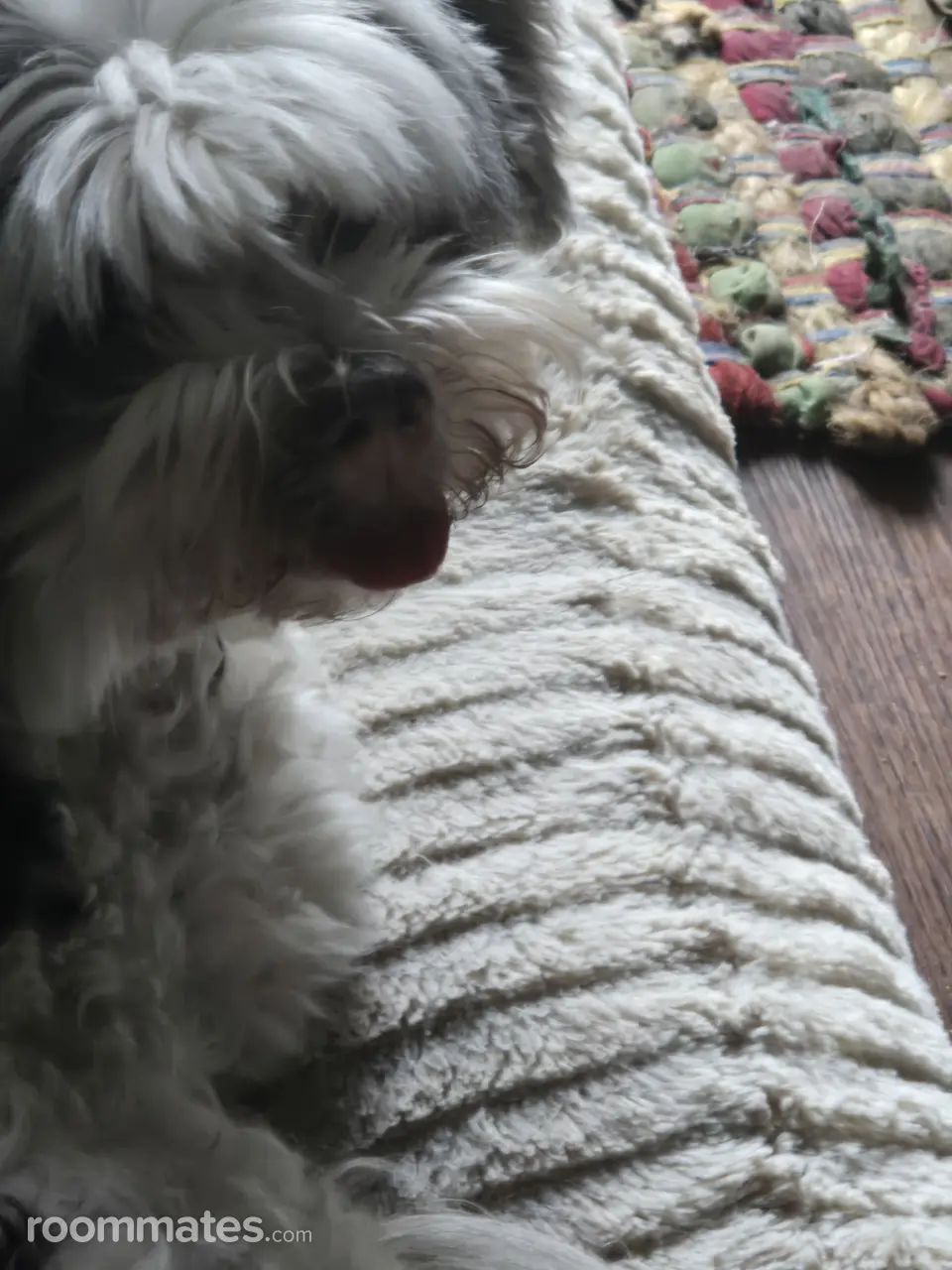 Profile photo 2 of 2