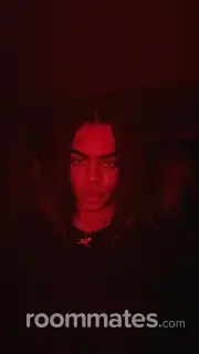 Roommate looking Chicago, IL, $2000