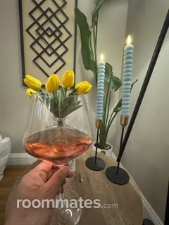 Roommate looking Byron Center, MI, $600