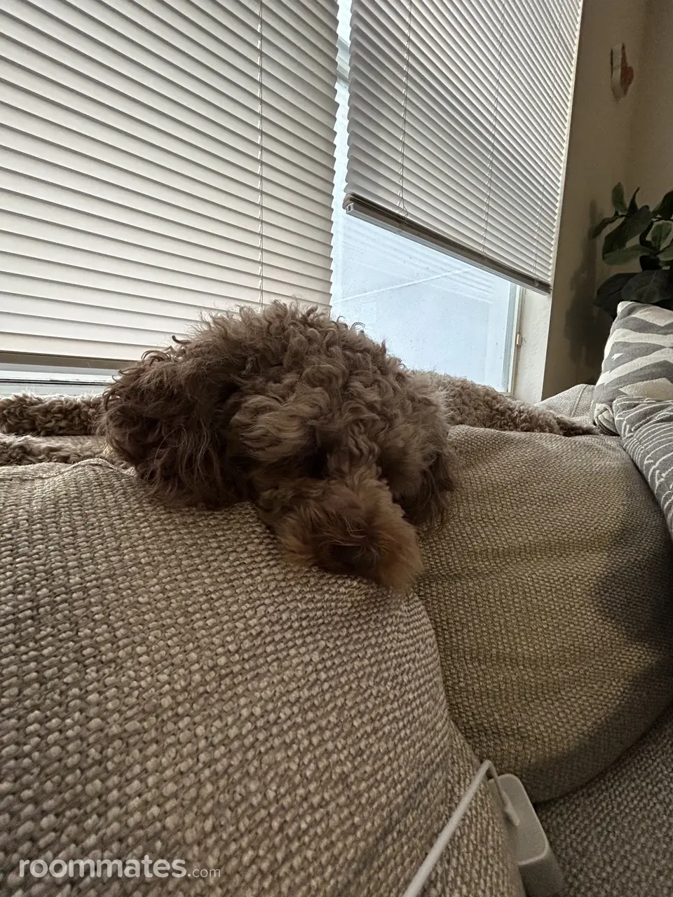 Profile photo 3 of 6