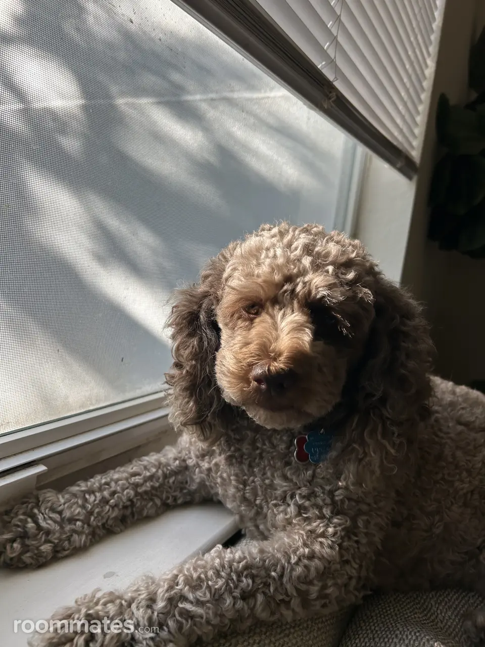 Profile photo 6 of 6