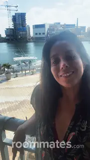 Roommate looking Apollo Beach, FL, $900