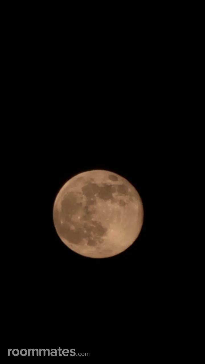 Profile photo 2 of 2