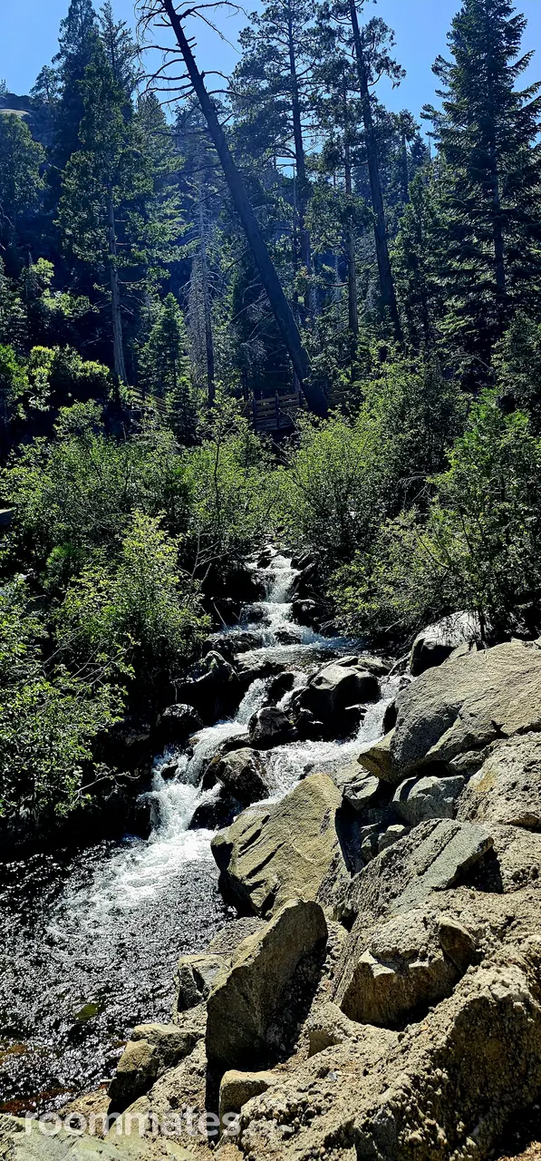 Profile photo 1 of 1