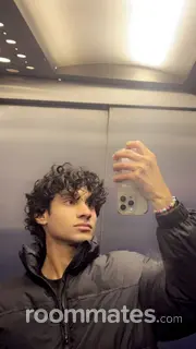 Roommate looking North Hollywood, CA, $1000