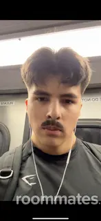 Roommate looking Herndon, VA, $1500