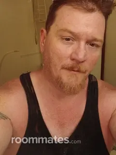 Roommate looking Columbia, MO, $600