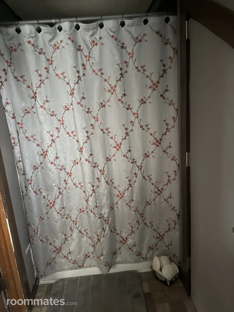 Profile photo 7 of 8