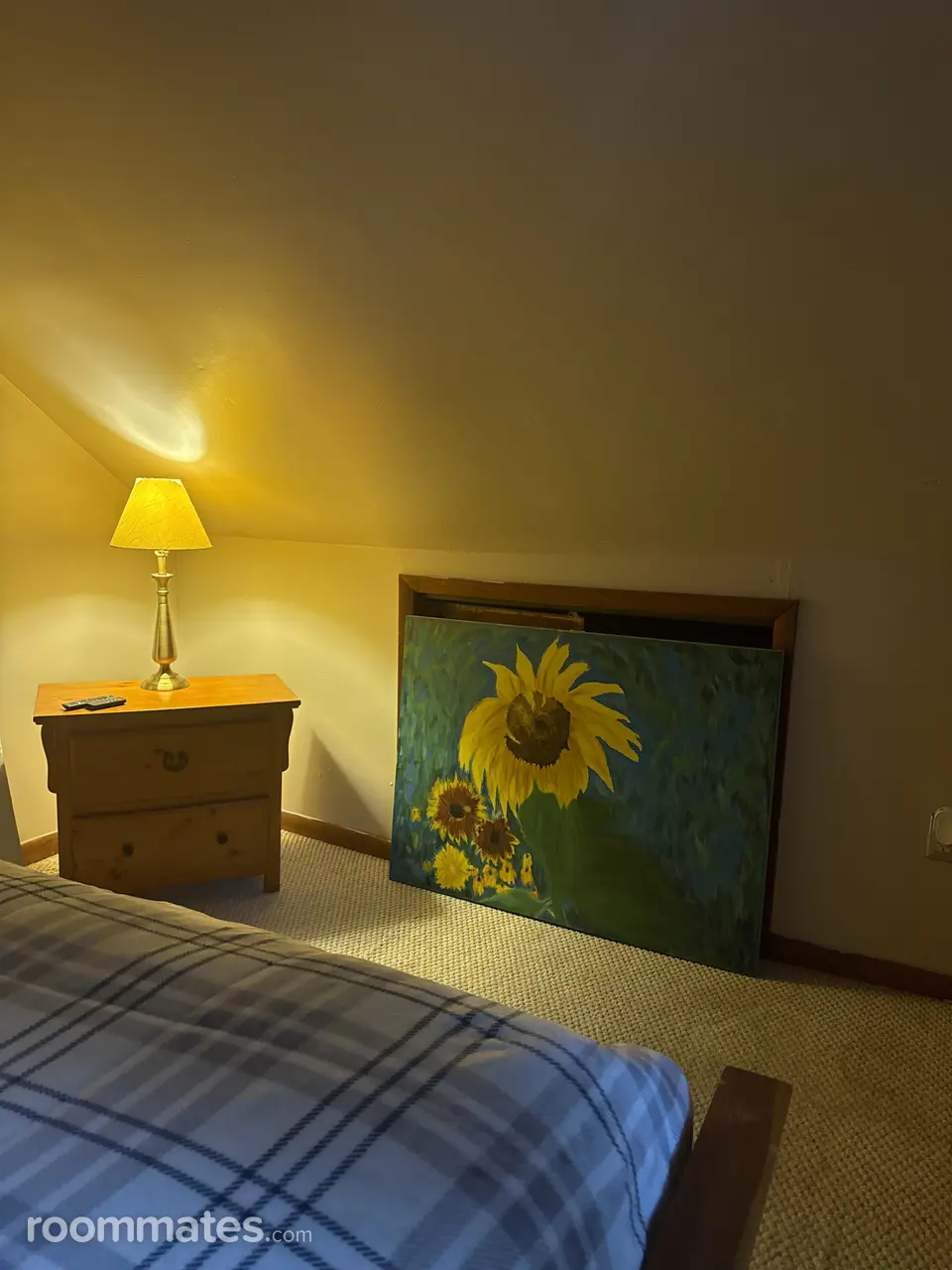 Profile photo 3 of 8