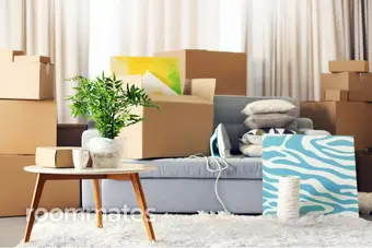 Roommate looking New York, NY, $500