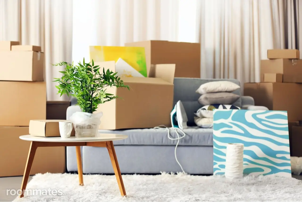 Profile photo 1 of 1