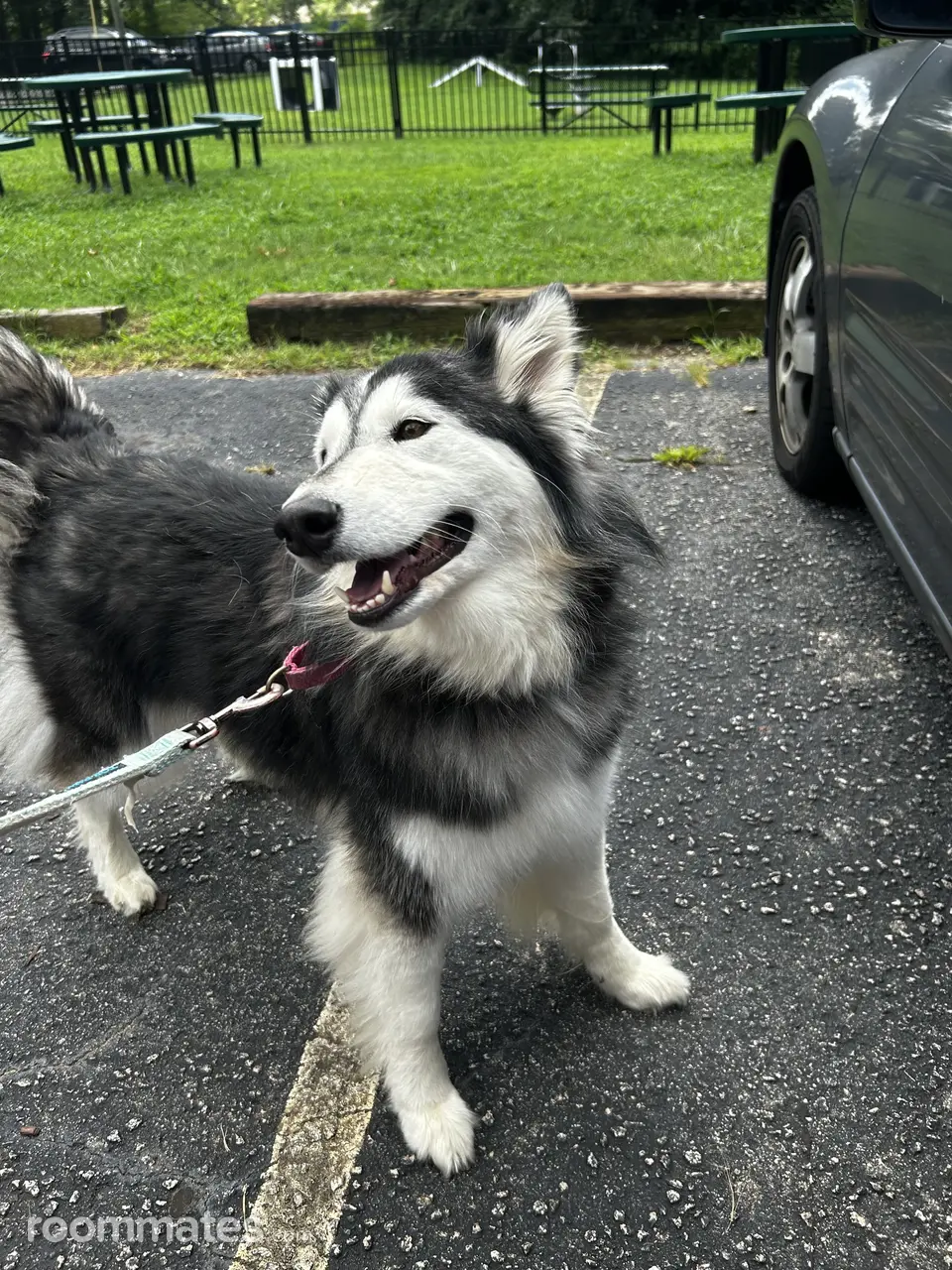 Profile photo 2 of 2