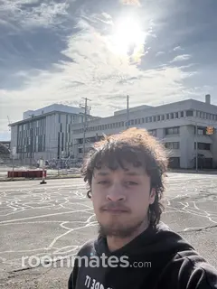 Roommate looking Kalamazoo, MI, $500