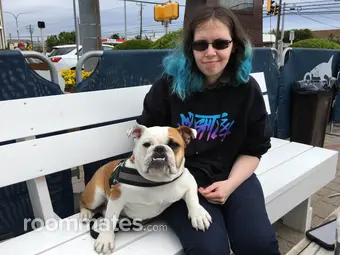 Roommate looking Ann Arbor, MI, $1000