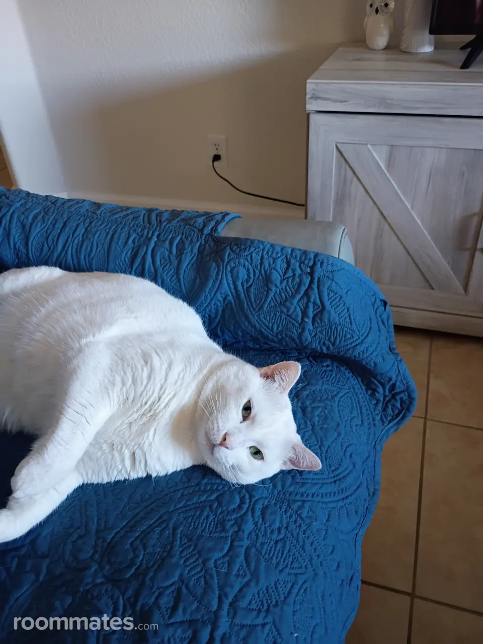 Profile photo 20 of 20