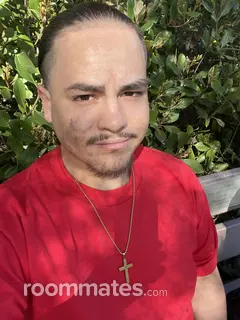 Roommate looking Sacramento, CA, $800