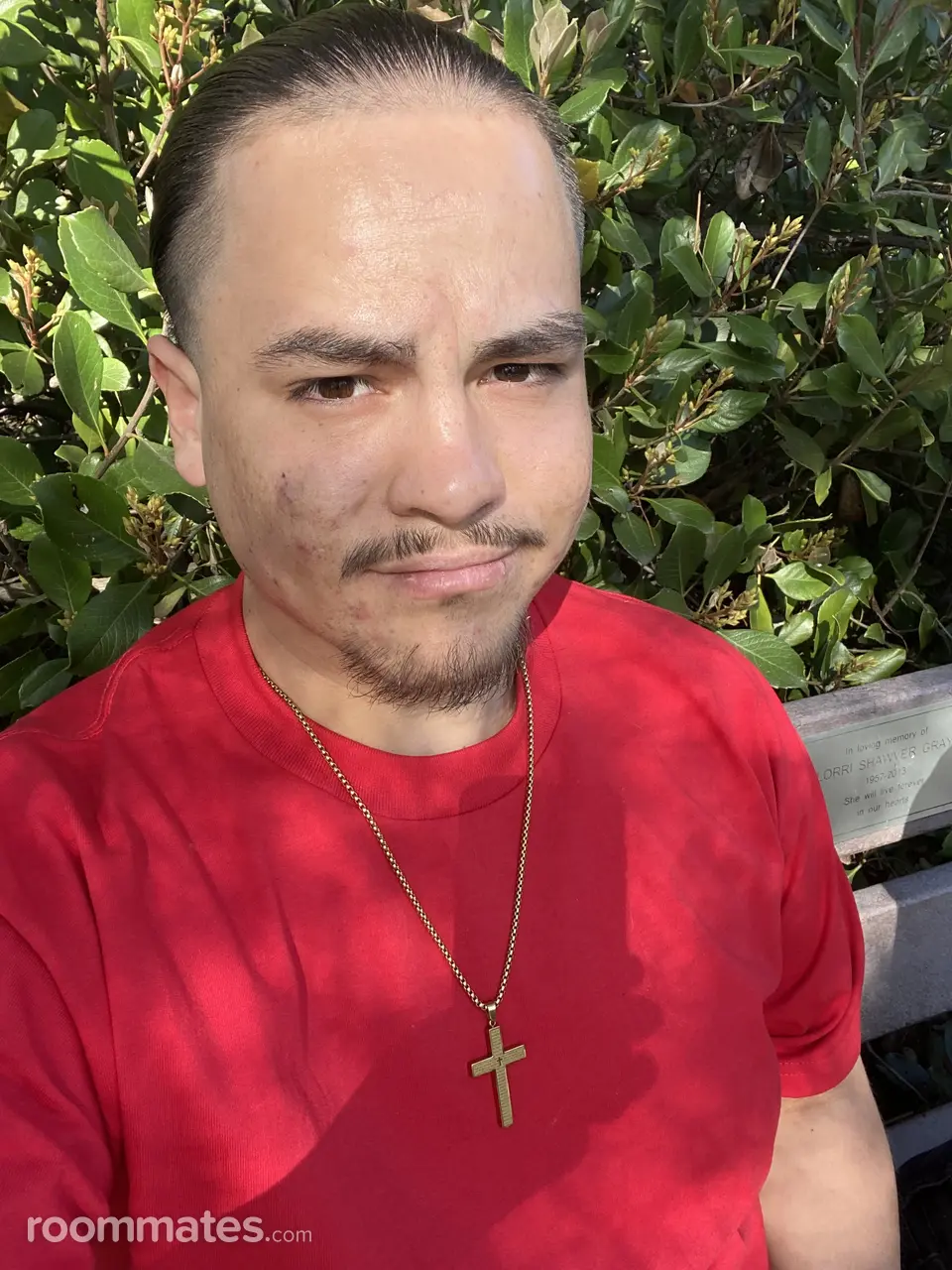 Profile photo 1 of 1