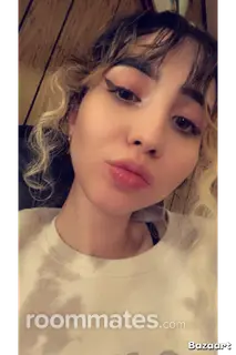 Roommate looking Taylor, MI, $400