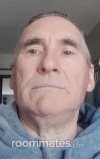 Roommate looking Sarasota, FL, $800