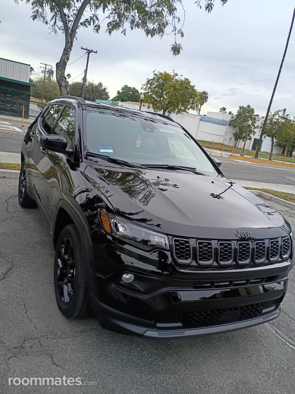 Profile photo 8 of 8