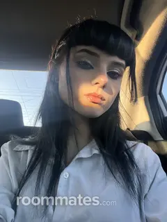 Roommate looking Cleveland Heights, OH, $900