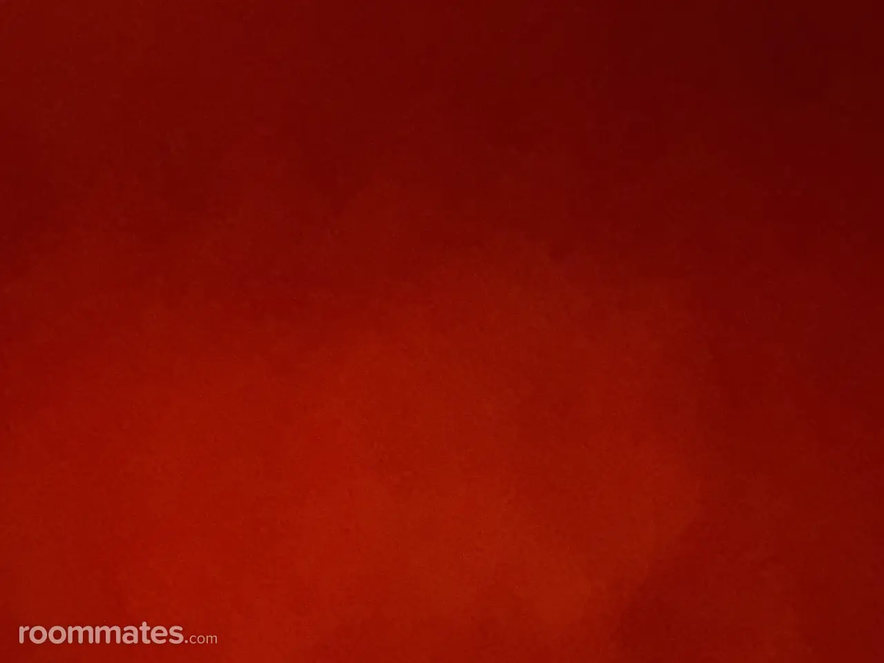 Profile photo 1 of 1