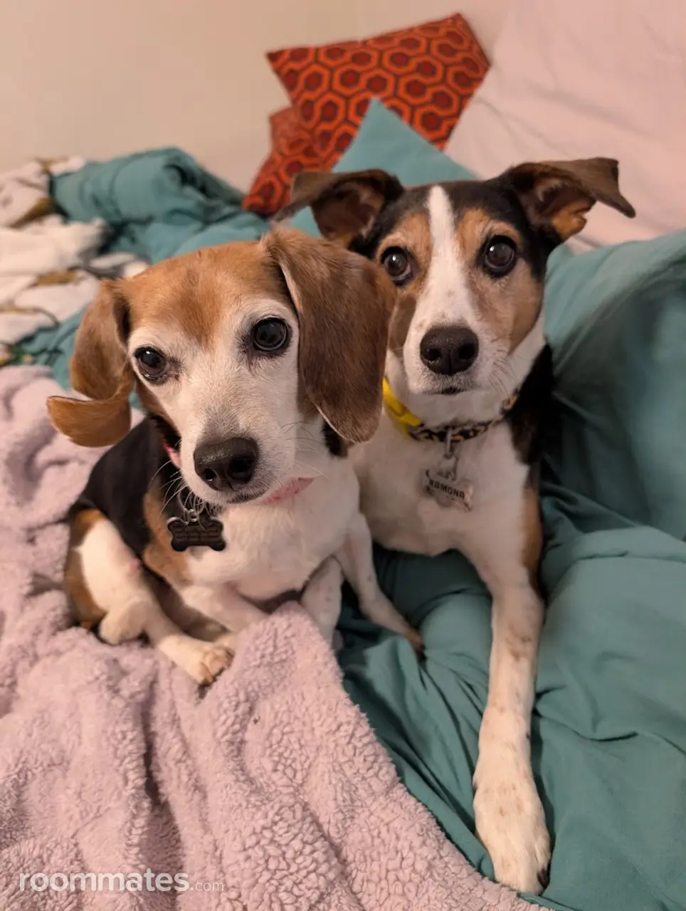 Profile photo 2 of 5