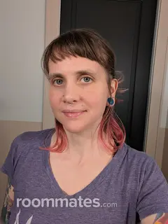 Roommate looking Charlotte, NC, $700