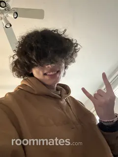 Roommate looking Greensburg, IN, $700