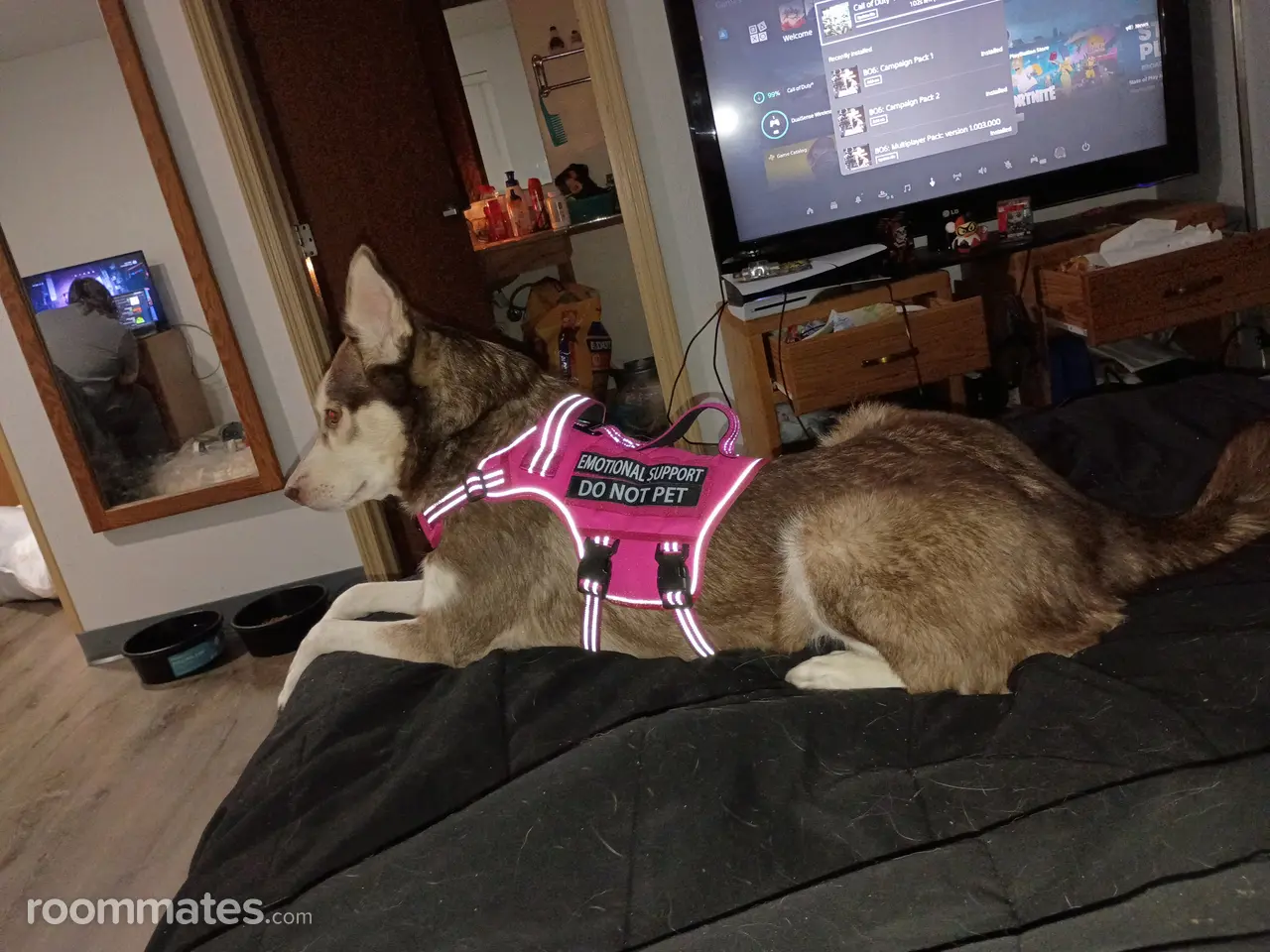 Profile photo 5 of 5