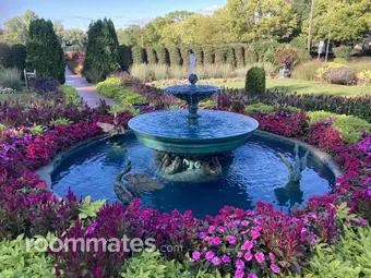 Roommate looking Gulf Breeze, FL, $1000