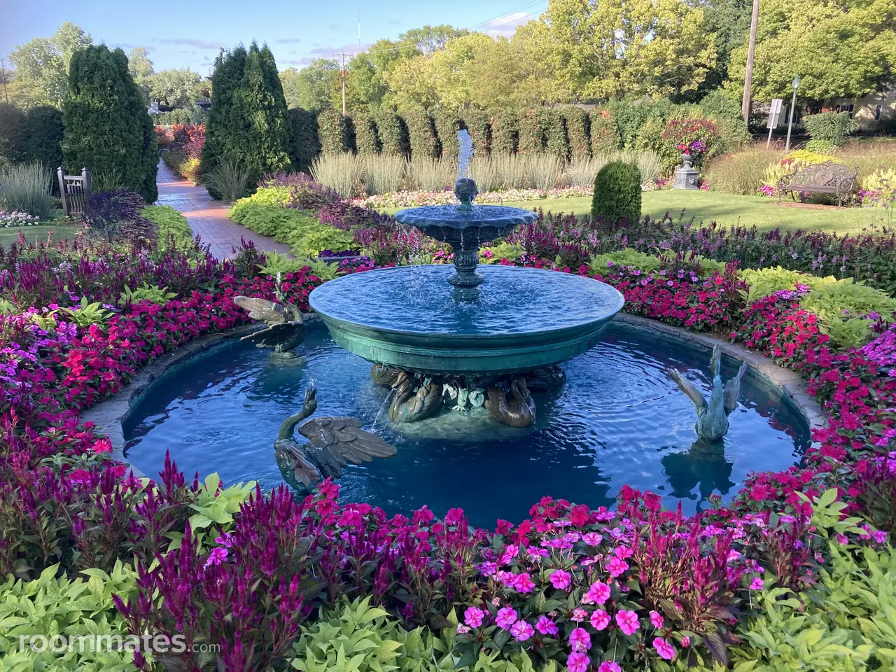 Profile photo 1 of 1