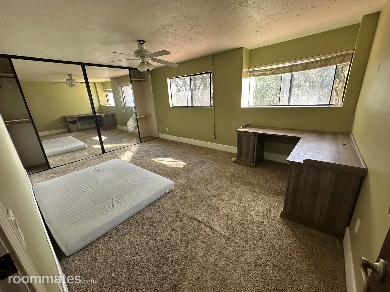 Profile photo 6 of 11