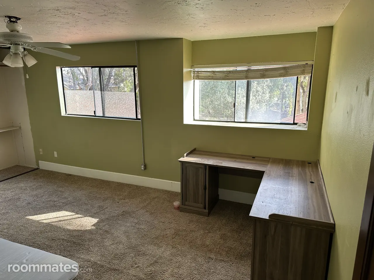 Profile photo 1 of 11