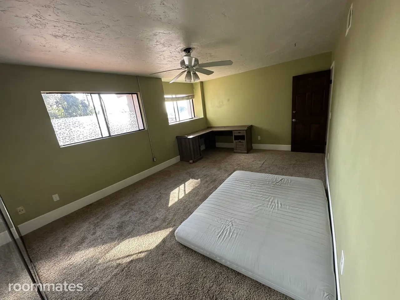 Profile photo 5 of 11