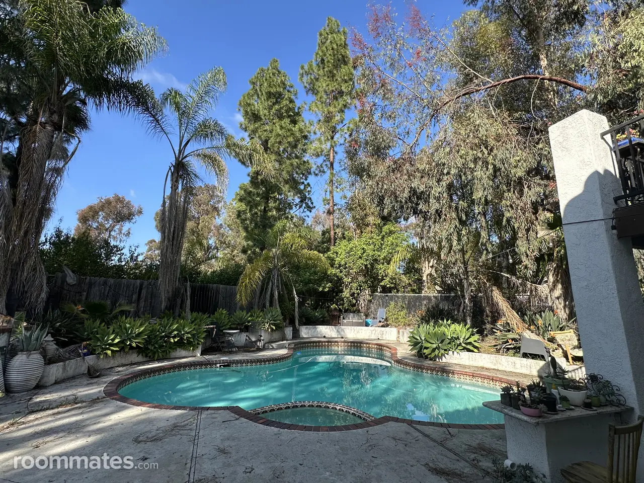 Profile photo 10 of 11