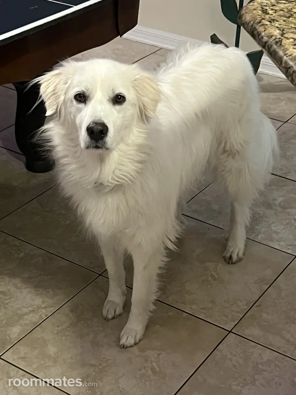 Profile photo 11 of 12