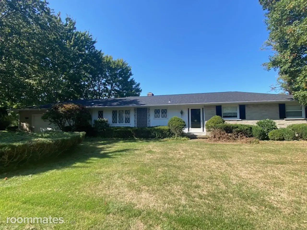 Profile photo 1 of 10