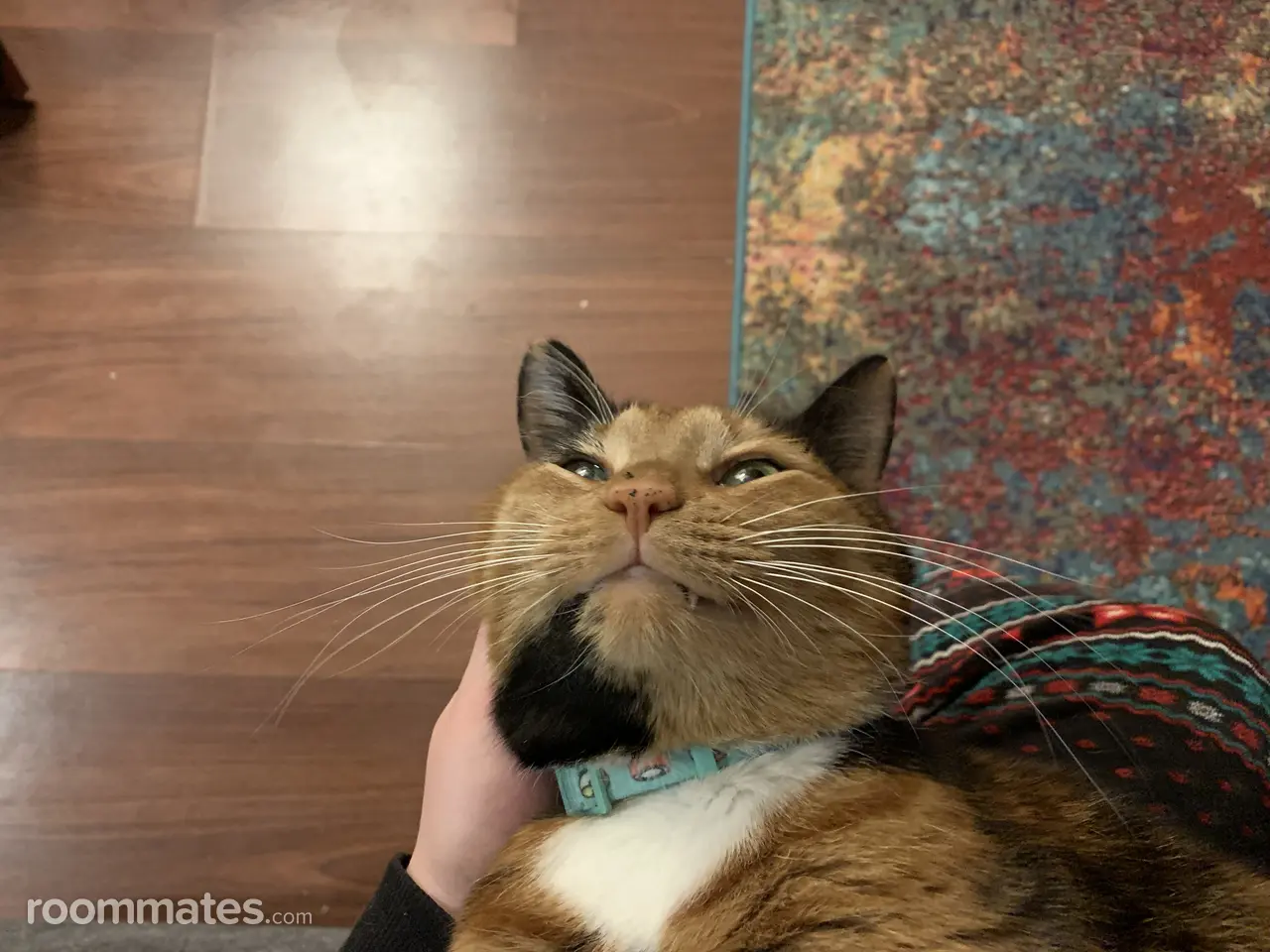 Profile photo 5 of 8